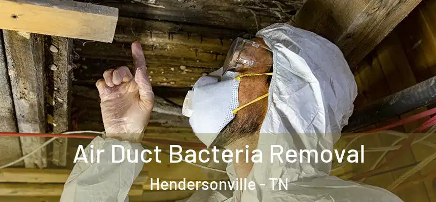  Air Duct Bacteria Removal Hendersonville - TN