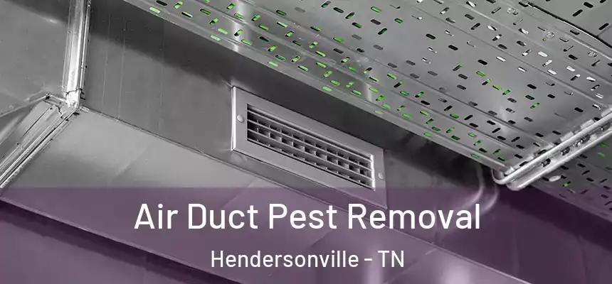 Air Duct Pest Removal Hendersonville - TN