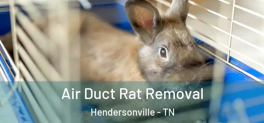  Air Duct Rat Removal Hendersonville - TN