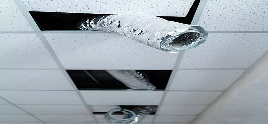 Affordable HVAC Sanitizing After Pest Removal in Hendersonville