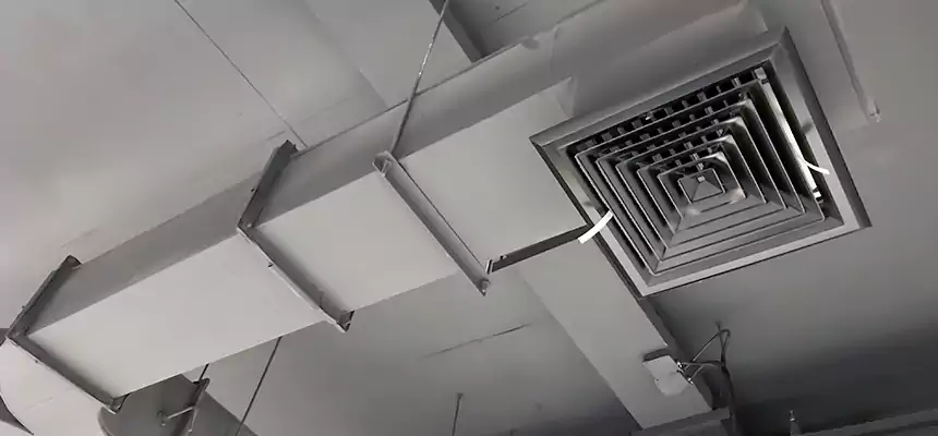 Restorative Allergy Relief Vent Cleaning – Coil, Blower & Housing Detail in Hendersonville