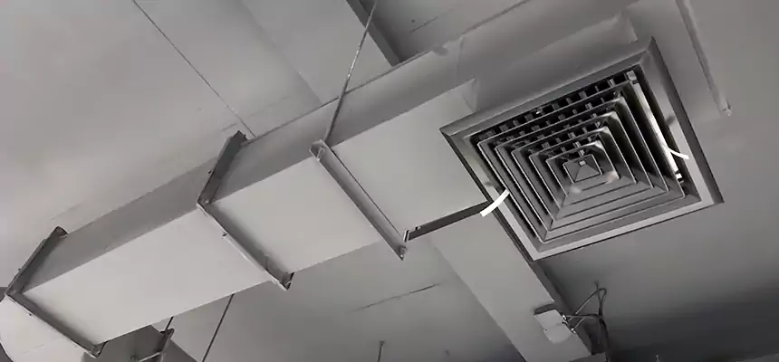 Our Pest Removal From Ducts Services in Hendersonville, TN