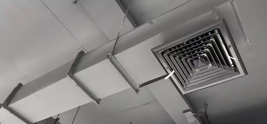 Our Rodent Droppings In Vents Services in Hendersonville, TN