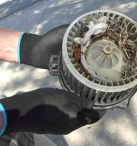 About Air Duct Rat Removal in Hendersonville, TN