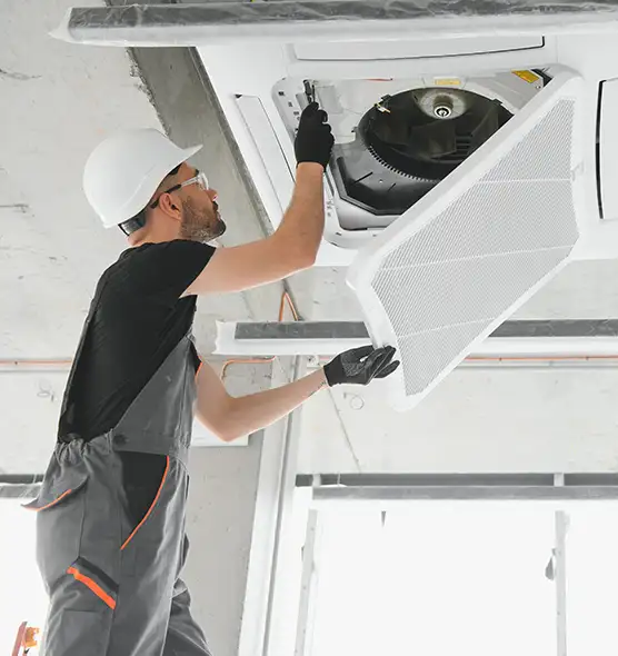 About Air Duct Rodent Removal in Hendersonville, TN